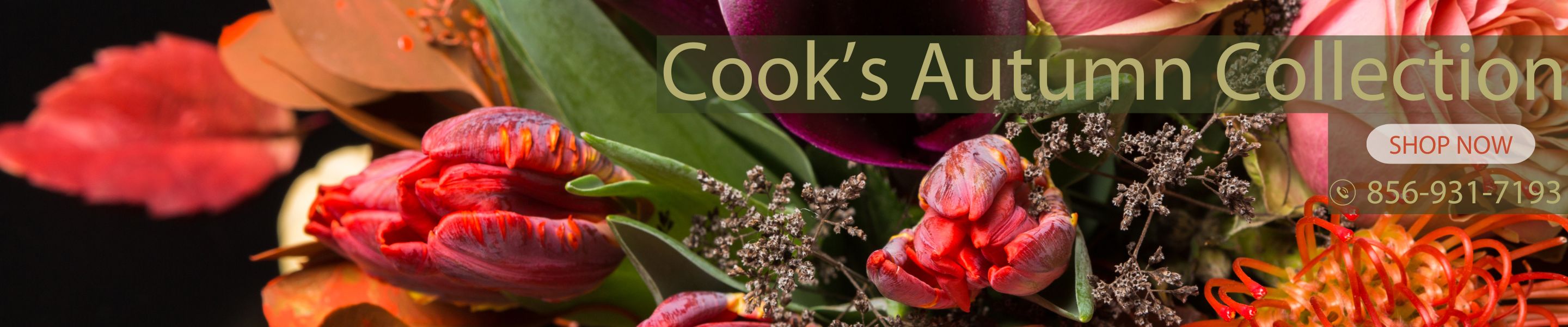 Florist Runnemede New Jersey Cook's Florist and Flower Delivery